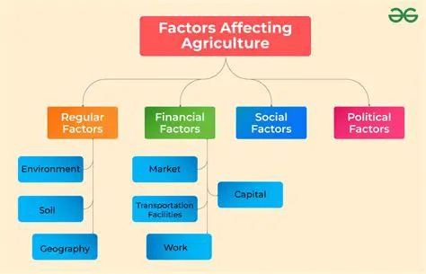 Geographical and Economic Factors