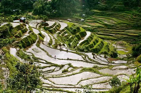 Geographical Significance of Rice Terraces