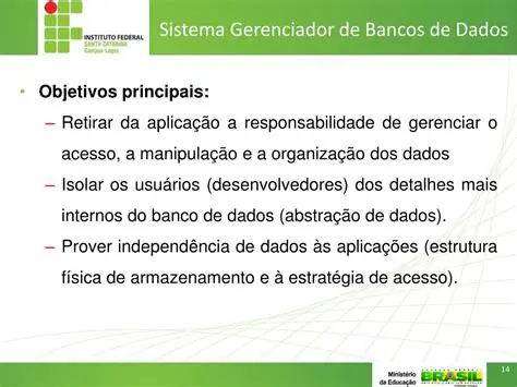 Gerenciados por um sistema gerenciador de bancos de dados