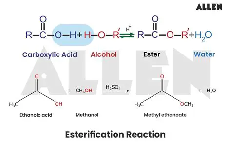 Get to know liquid smoke techniques and esterification