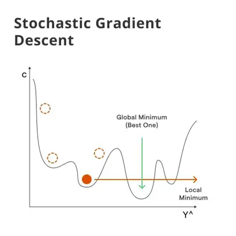 Gradient Descent and Estimator Bias