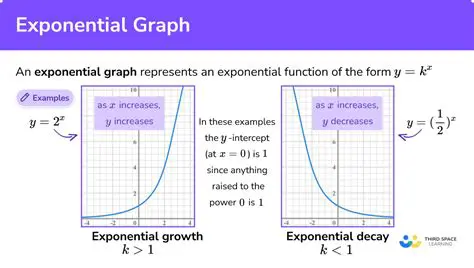 Graph the exponential function