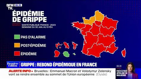 Grippe aviaire : Comprendre la menace, les symptômes, la prévention et l'impact en France