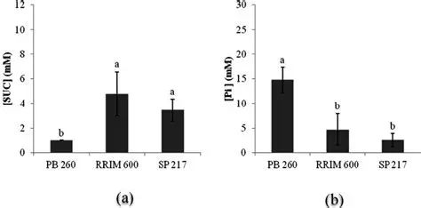 Grouping Rubber Clones Based on Latex Metabolism