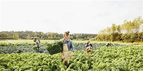 Growing Food in the Wilderness