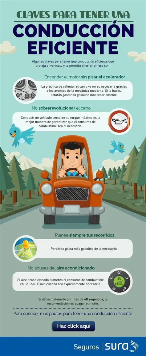 ¡Pisa el Acelerador! Guía Definitiva para la Conducción Segura y Eficiente en México