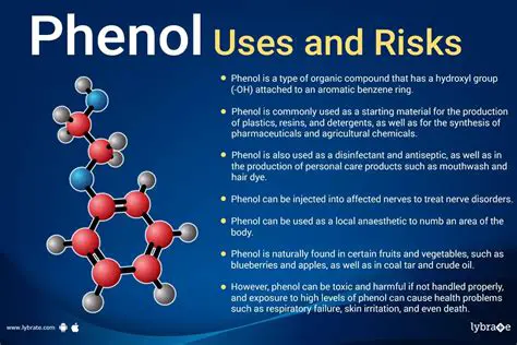 Health Risks Due to Phenol Compound Pollution