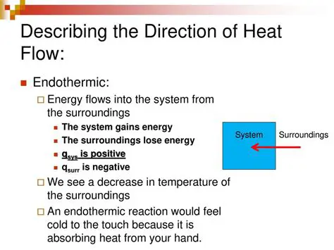 heat flows from the skin to the lotion