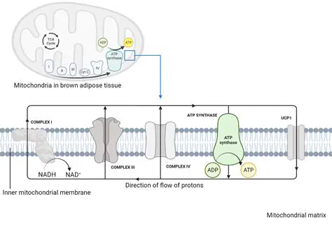 Heat Production in Electrical Circuits