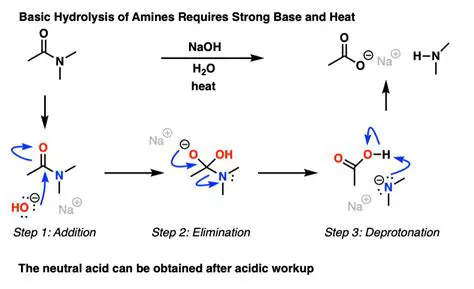 Heat Transfer Mechanisms in Hydrolysis