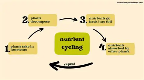 Helping in Nutrient Cycling