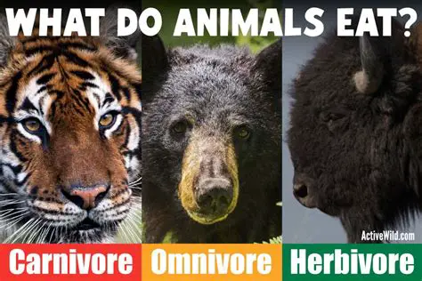 Herbivorous or carnivorous diet