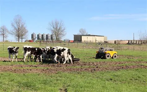 Herding and livestock management