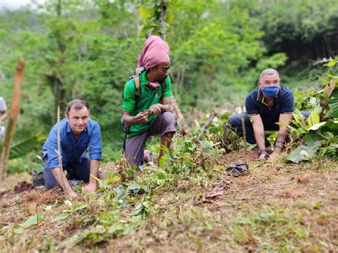 Highlight economic opportunity