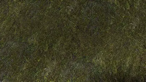 Highly Detailed HD Textures