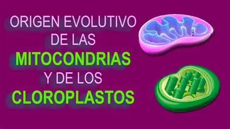Historia Evolutiva de los Cloroplastos