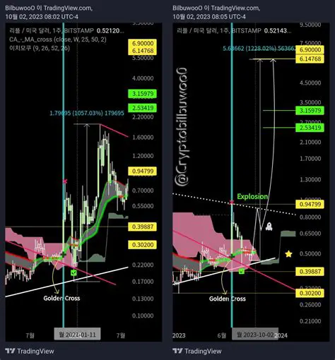 Historical Weekly Data of Rifan: A Comprehensive Analysis