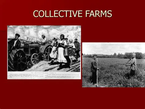 History of Collective Farms