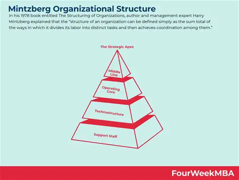 History of the Organisation