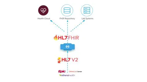 HL7v2 to FHIR Value Set Mapping