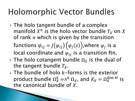 Holomorphic Bundles and Maps