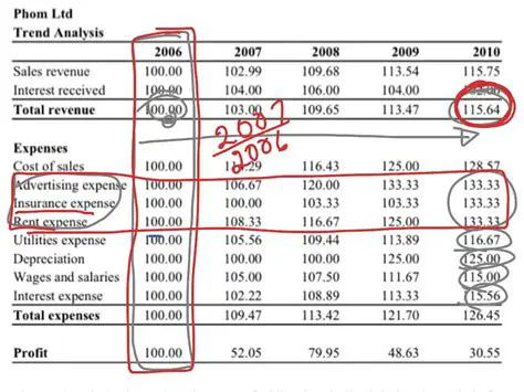 Horizontal and Vertical Analysis