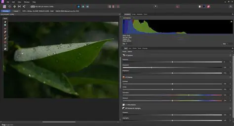 How CRiSP Compares to Other Editors