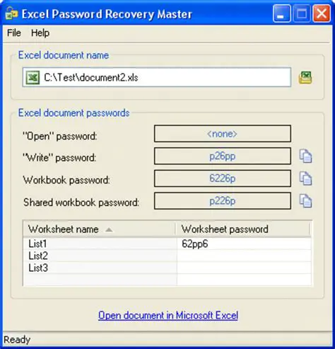 How Excel Password Recovery Master Works