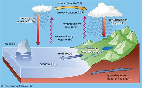 How Precipitation Replenishes Groundwater