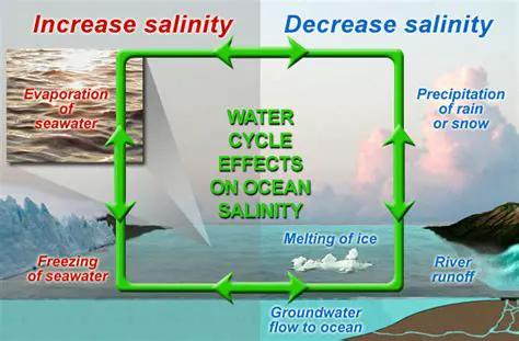 How Salinity and Temperature Interact