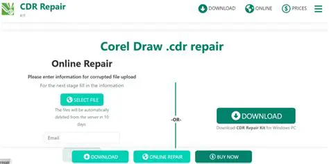 How the CDR Repair Kit Works