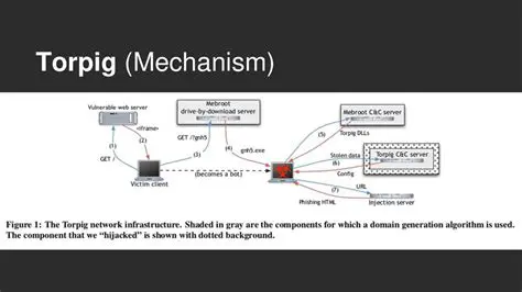 How the Torpig Removal Tool Works
