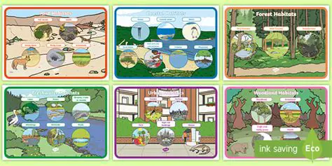 How to Use Hankering Habitats in the Classroom