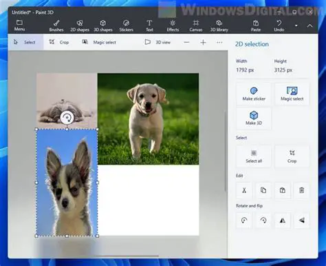 How to Use Kodak InSite Desktop for Printing Photos