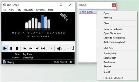 How to Use the Gabest Media Player Classic Removal Tool