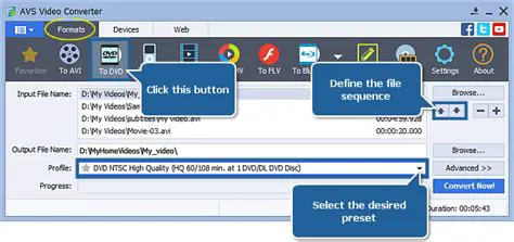 How to Use ThinkVD DVD to AVI Converter