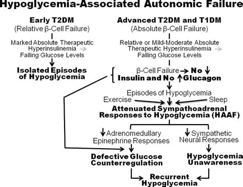 Hypoglycemia in Type 1 Diabetes Mellitus