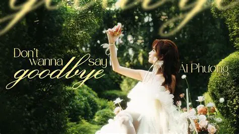 Decoding the Sentiment: Exploring the Meaning Behind 