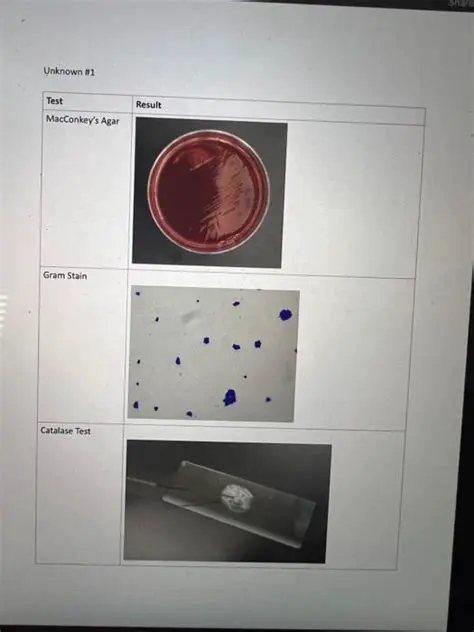 IAE8OHLFY1K: Unveiling the Mystery of the Unknown Microbe