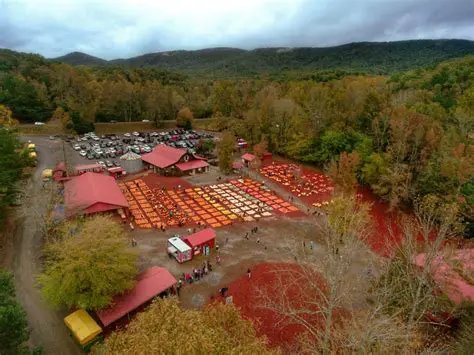 Decoding iCharlieKirk.com Membership: An Exclusive Gateway for Members