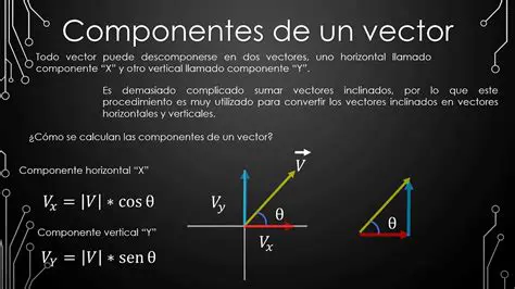 Identificar las componentes de los vectores