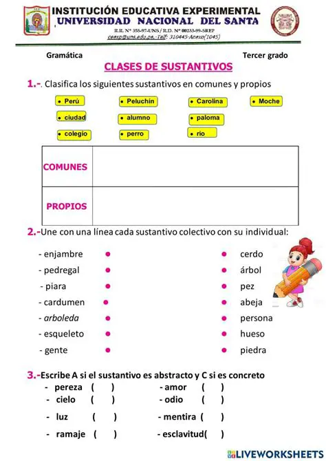 Identificar los sustantivos