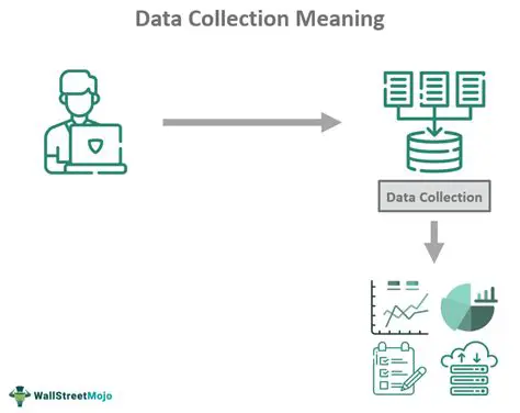Identify the data to be collected