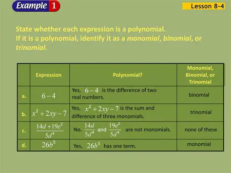 Identify the polynomial and the monomial denominator