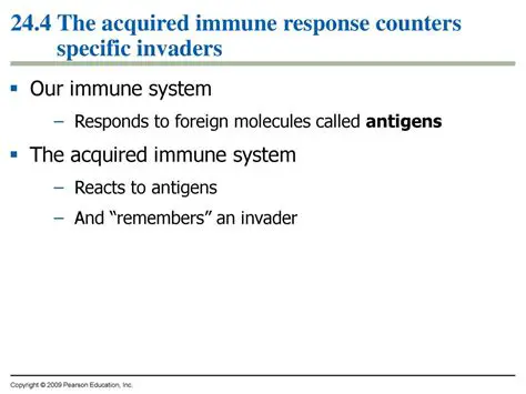 Identify Unnecessary Counters