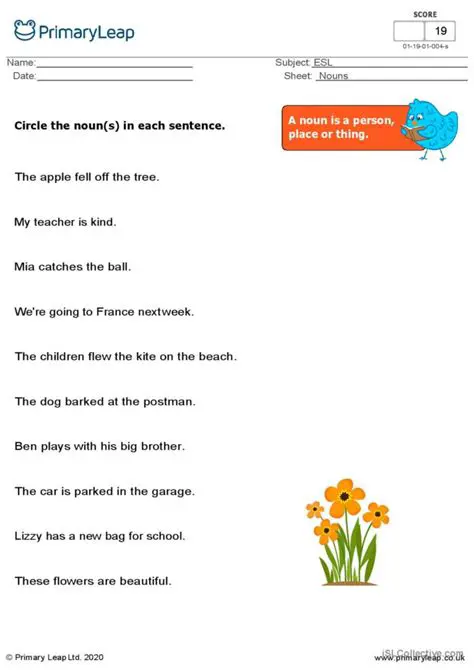 Identifying Nouns in a Sentence