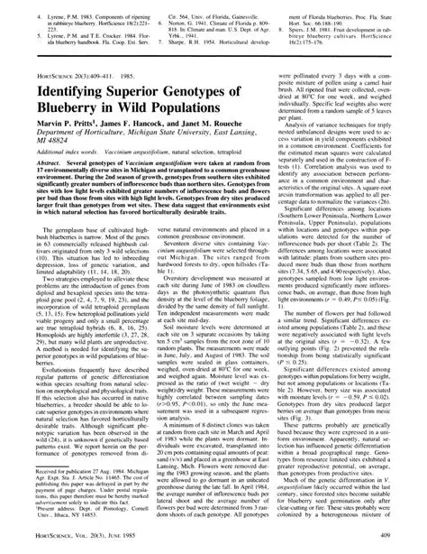Identifying superior genotypes