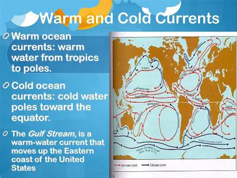 Identifying the Cold Current