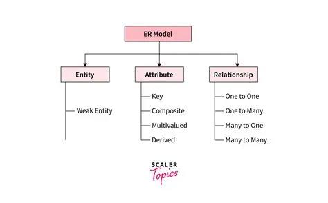 Identifying the Components of the Perimeter