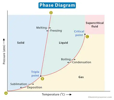 Identifying the Phase Shown in Diagram Z